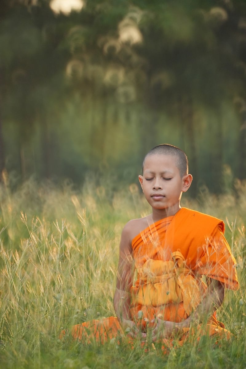 Meditation and Balance